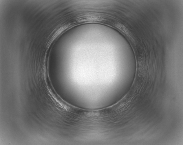X0000052990890200507221218