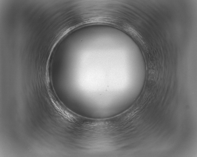 X0000052990892200507221218