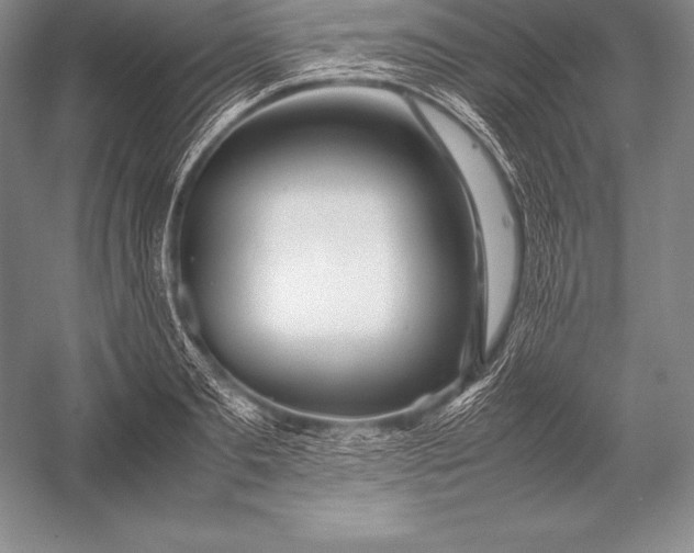 X0000052990893200507221218