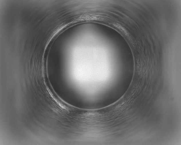 X0000052990894200507221218