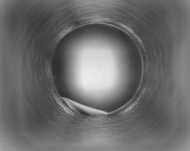 X0000052990897200507221217