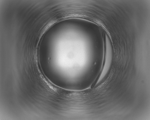 X0000052990898200507221217