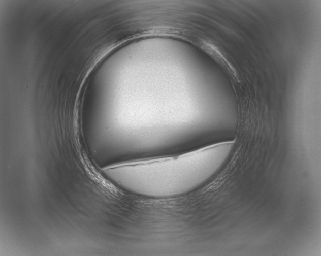 X0000052990900200507221217
