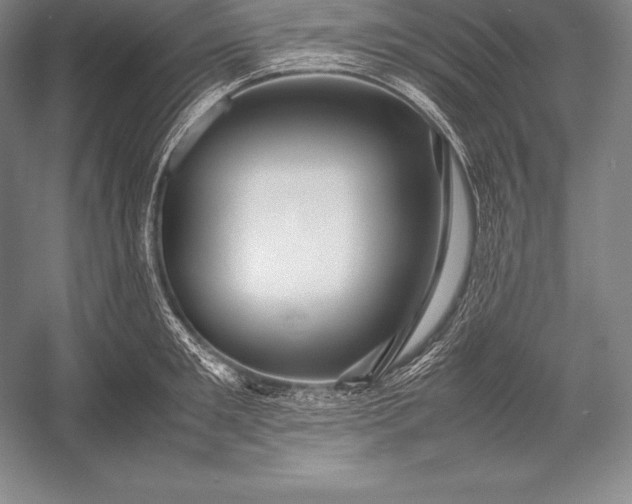 X0000052990901200507221217