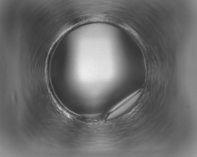 X0000052990902200507221217