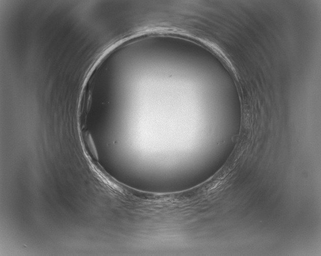 X0000052990903200507221217