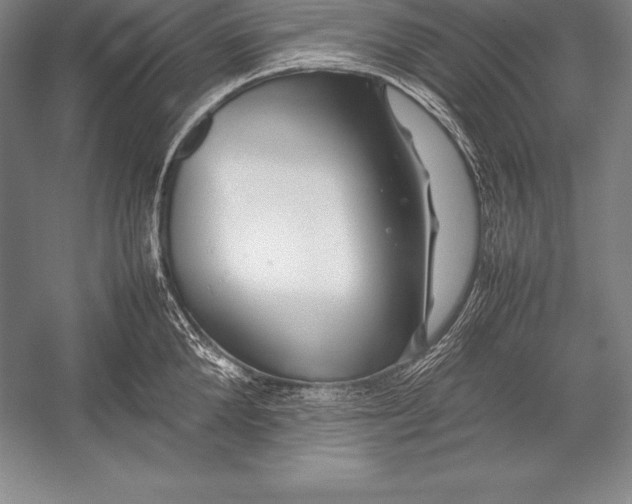 X0000052990904200507221217