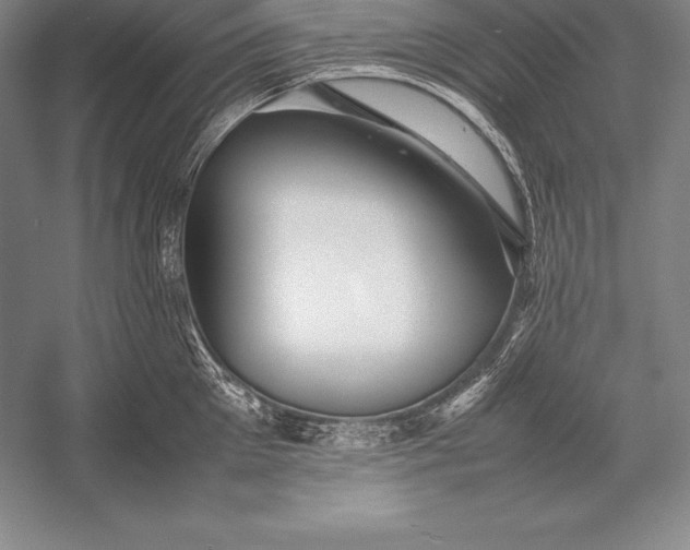 X0000052990905200507221217