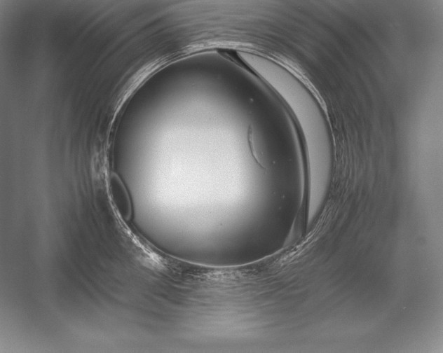 X0000052990906200507221217