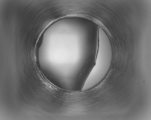 X0000052990908200507221217