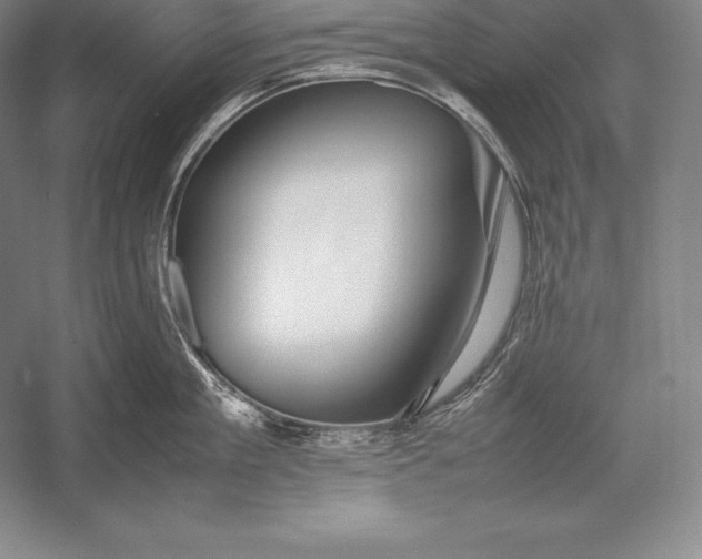X0000052990909200507221217
