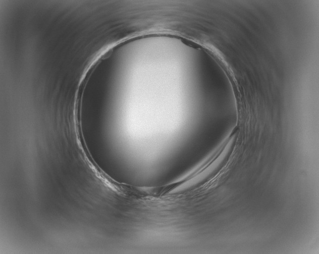 X0000052990910200507221217