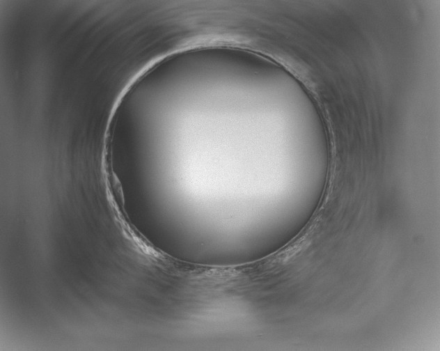 X0000052990912200507221217
