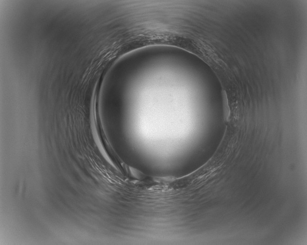 X0000052990916200507221216