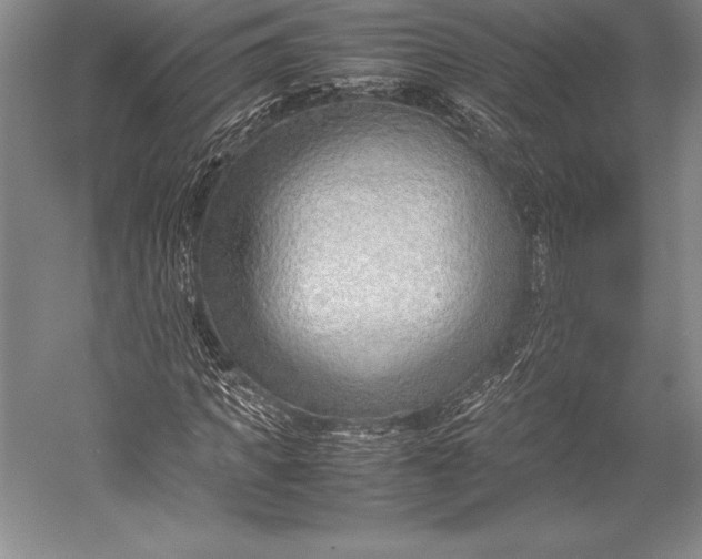 X0000052990917200507221216