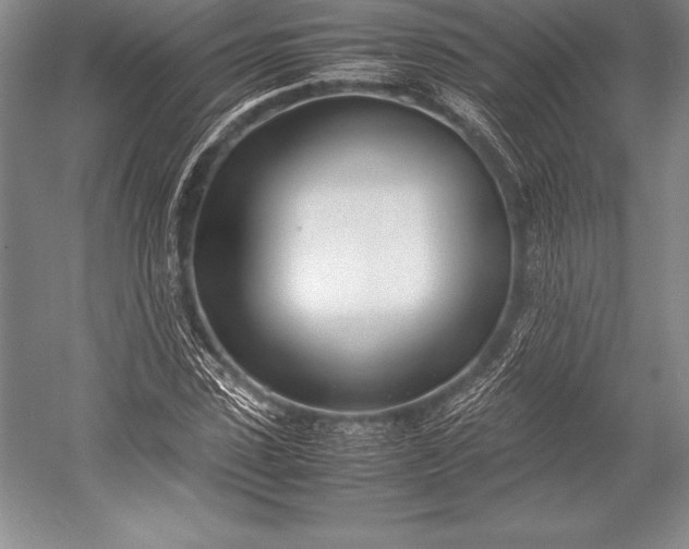 X0000052990923200507221217