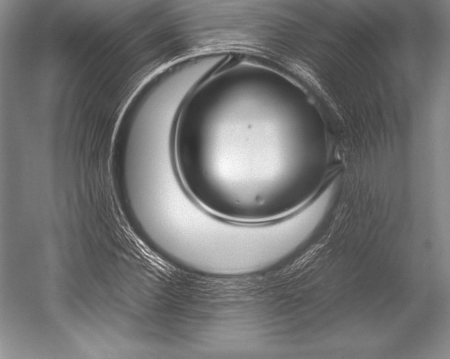 X0000052990924200507221217