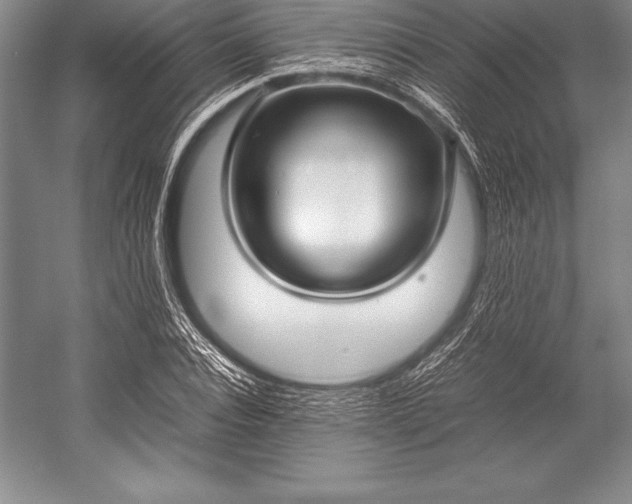 X0000052990928200507221217