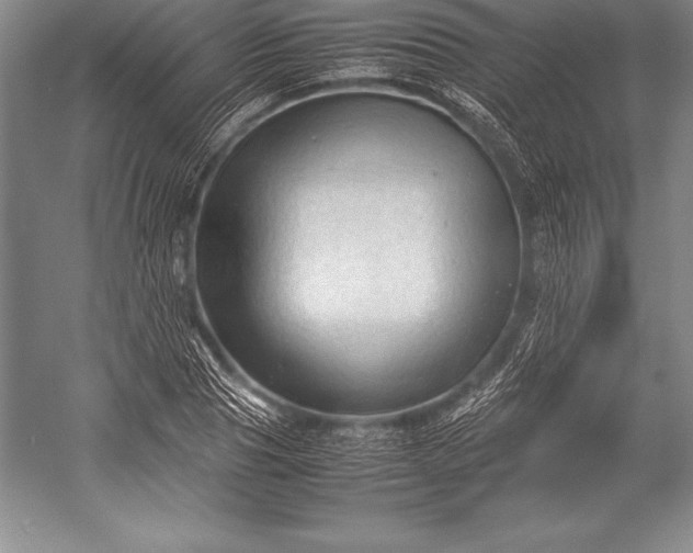 X0000052990929200507221217