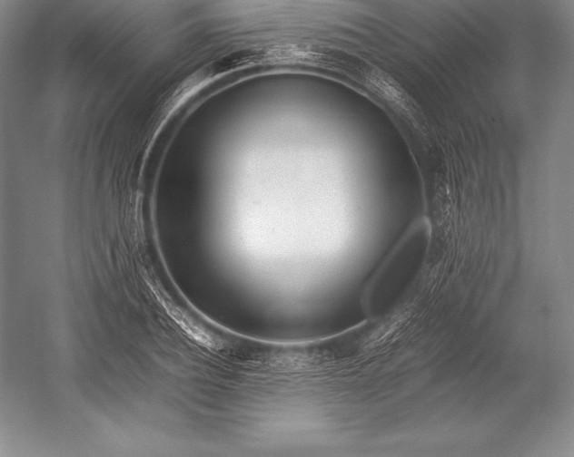 X0000052990932200507221217