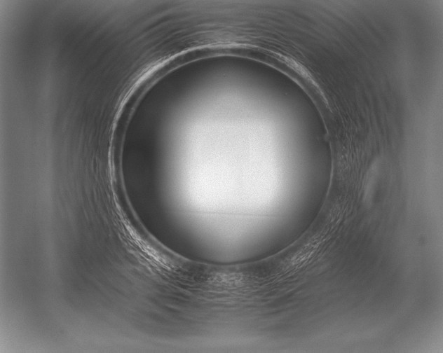 X0000052990935200507221217