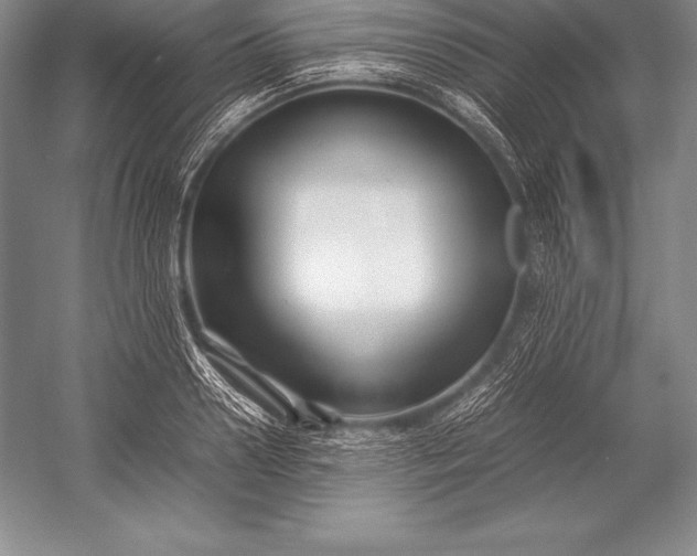 X0000052990938200507221217
