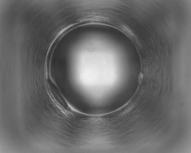 X0000052990940200507221217