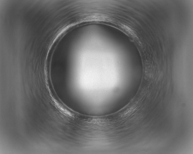 X0000052990942200507221217