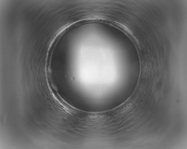 X0000052990943200507221217