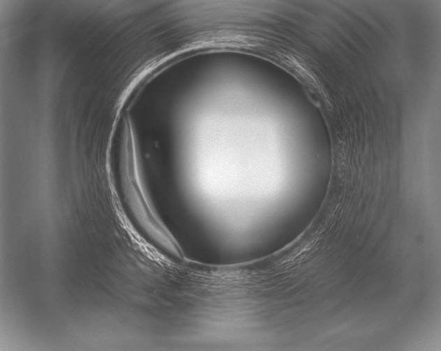 X0000052990944200507221217