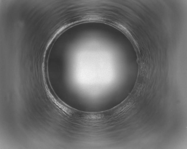 X0000052990947200507221217