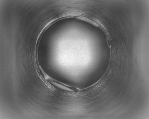 X0000052990948200507221217