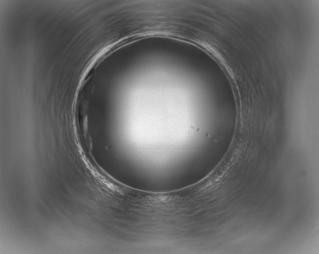 X0000052990949200507221217