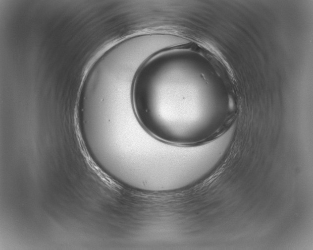 X0000052990952200507221217