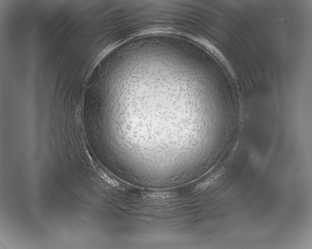 X0000052990953200507221217