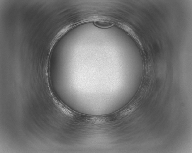 X0000052990954200507221217