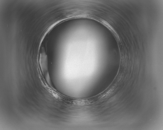 X0000052990956200507221217