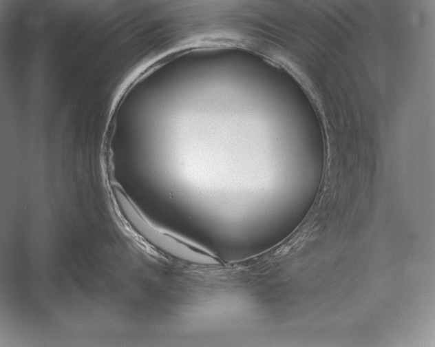 X0000052990960200507221217