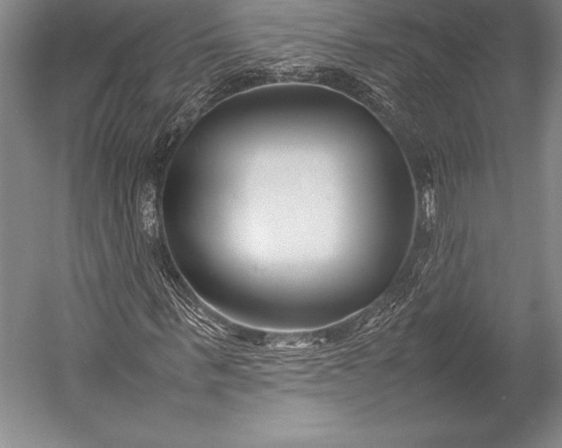 X0000052990963200507221216