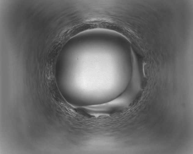 X0000052990965200507221216