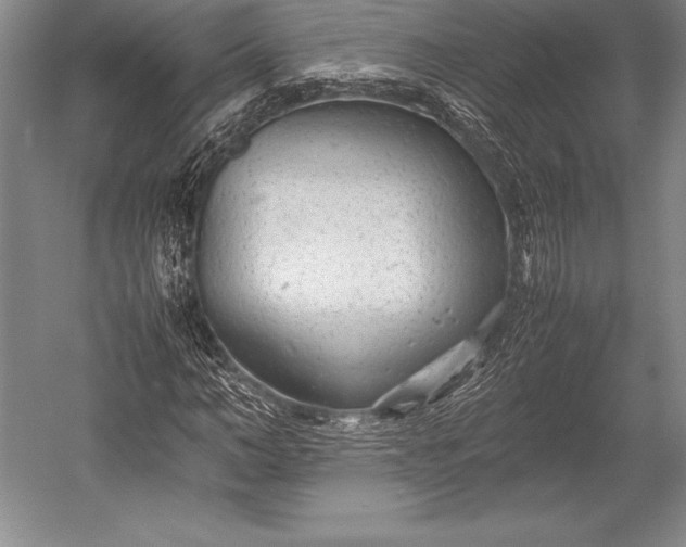 X0000052990966200507221216