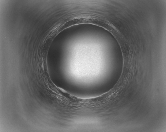 X0000052990967200507221216