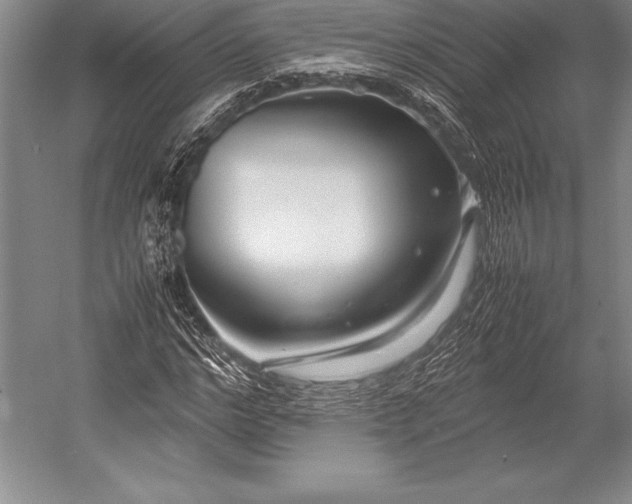 X0000052990968200507221216