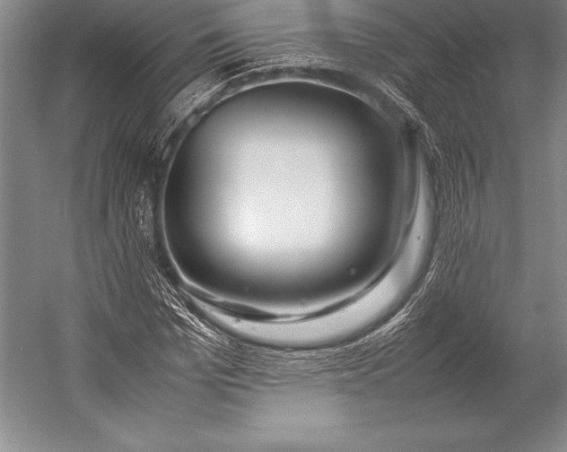 X0000052990969200507221216