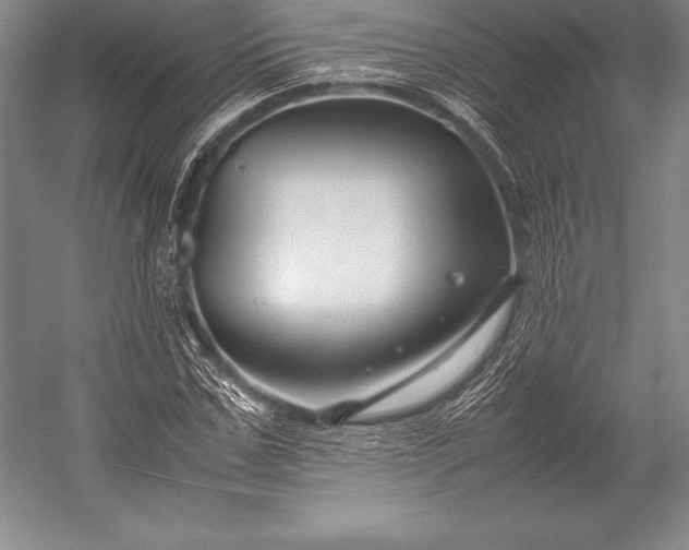 X0000052990971200507221216