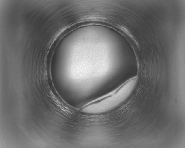 X0000052990972200507221216