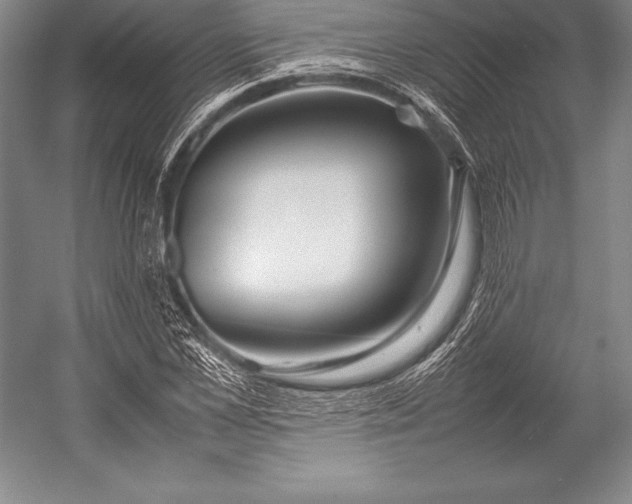 X0000052990973200507221216