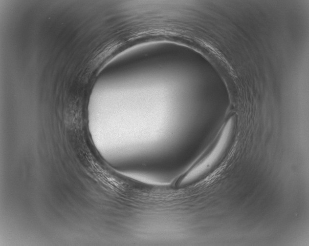 X0000052990977200507221216