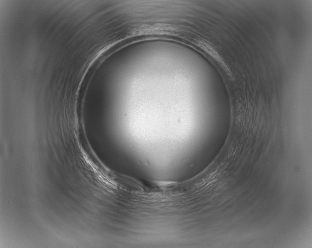X0000052990980200507221216