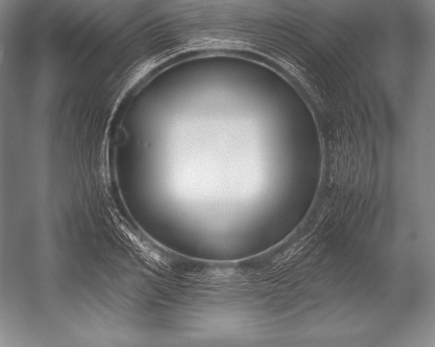 X0000052990982200507221216